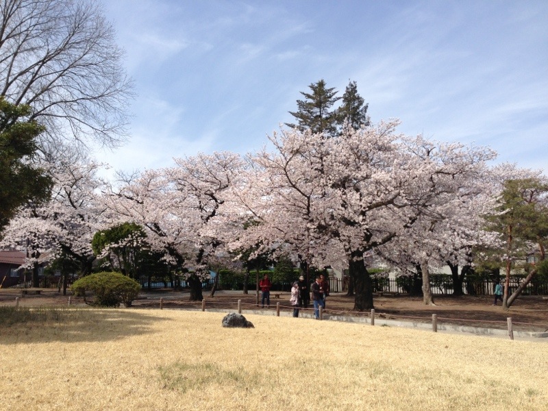 20130409-233332.jpg