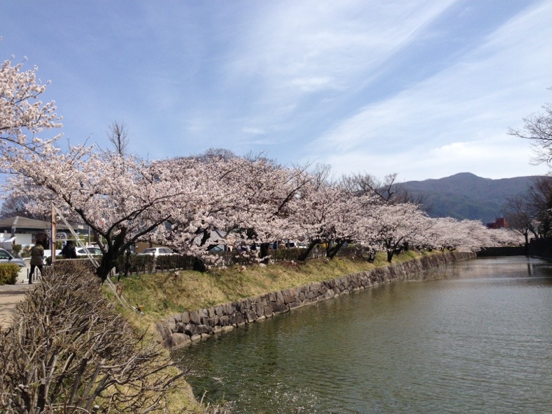 20130409-233429.jpg