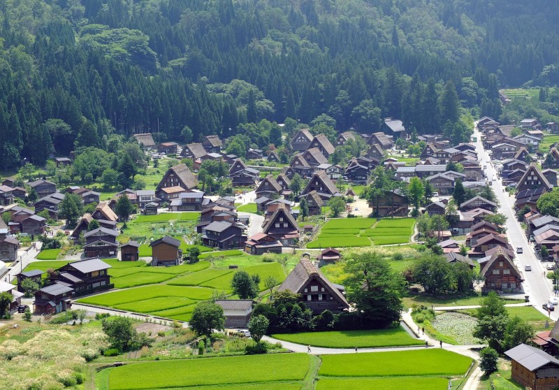 1149746_10200918189809549_1157078219_o